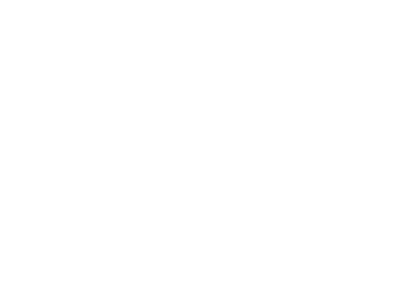 Dr Ibrahim